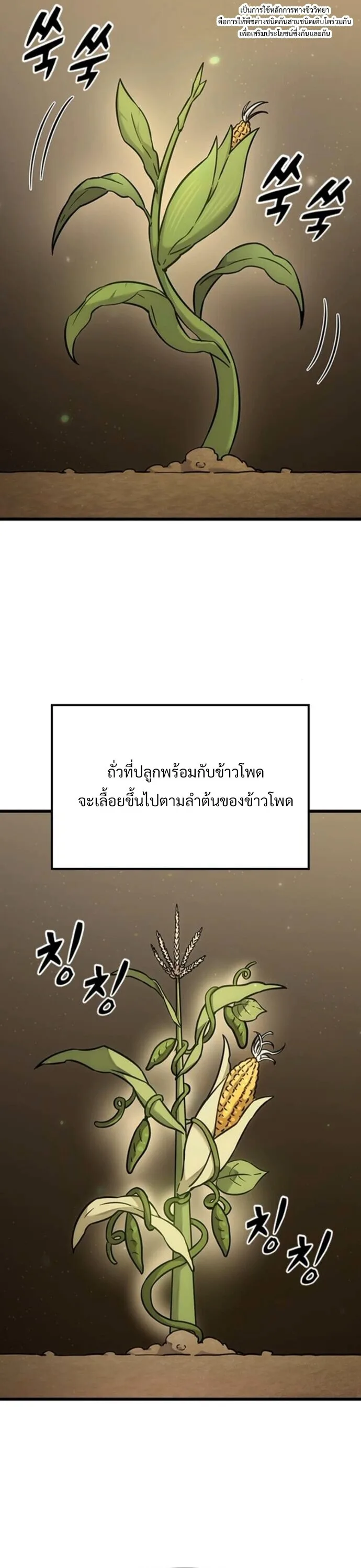 What a Bountiful Harvest, Demon Lord! วิถีชาวนาของราชาปีศาจ ตอนที่ 36 หน้า 39
