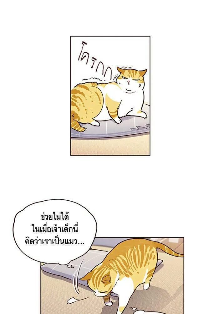 Eleceed อีลีซีด ตอนที่ 1 หน้า 34