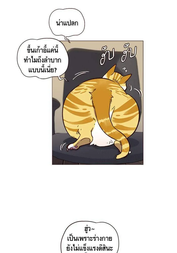 Eleceed อีลีซีด ตอนที่ 1 หน้า 51