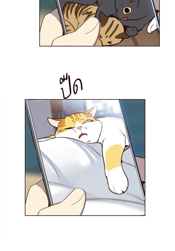 Eleceed อีลีซีด ตอนที่ 11 หน้า 17