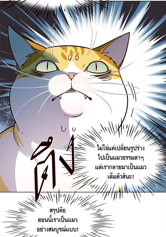 Eleceed อีลีซีด ตอนที่ 16 หน้า 19