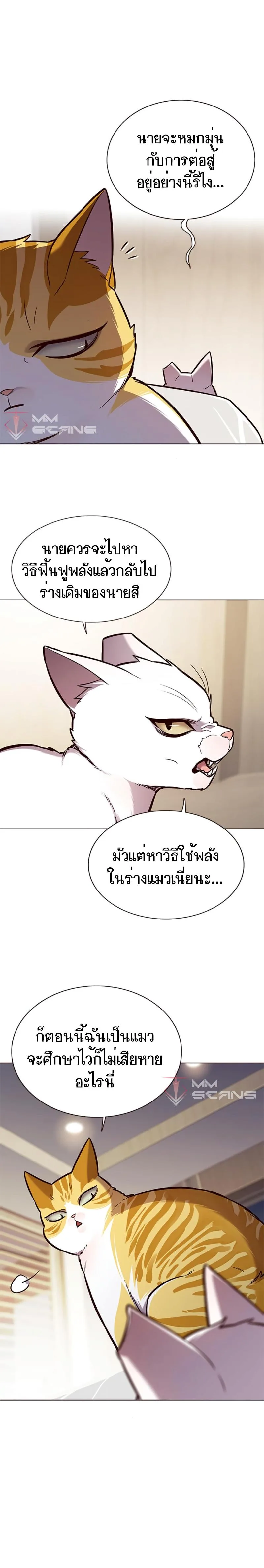 Eleceed อีลีซีด ตอนที่ 164 หน้า 8