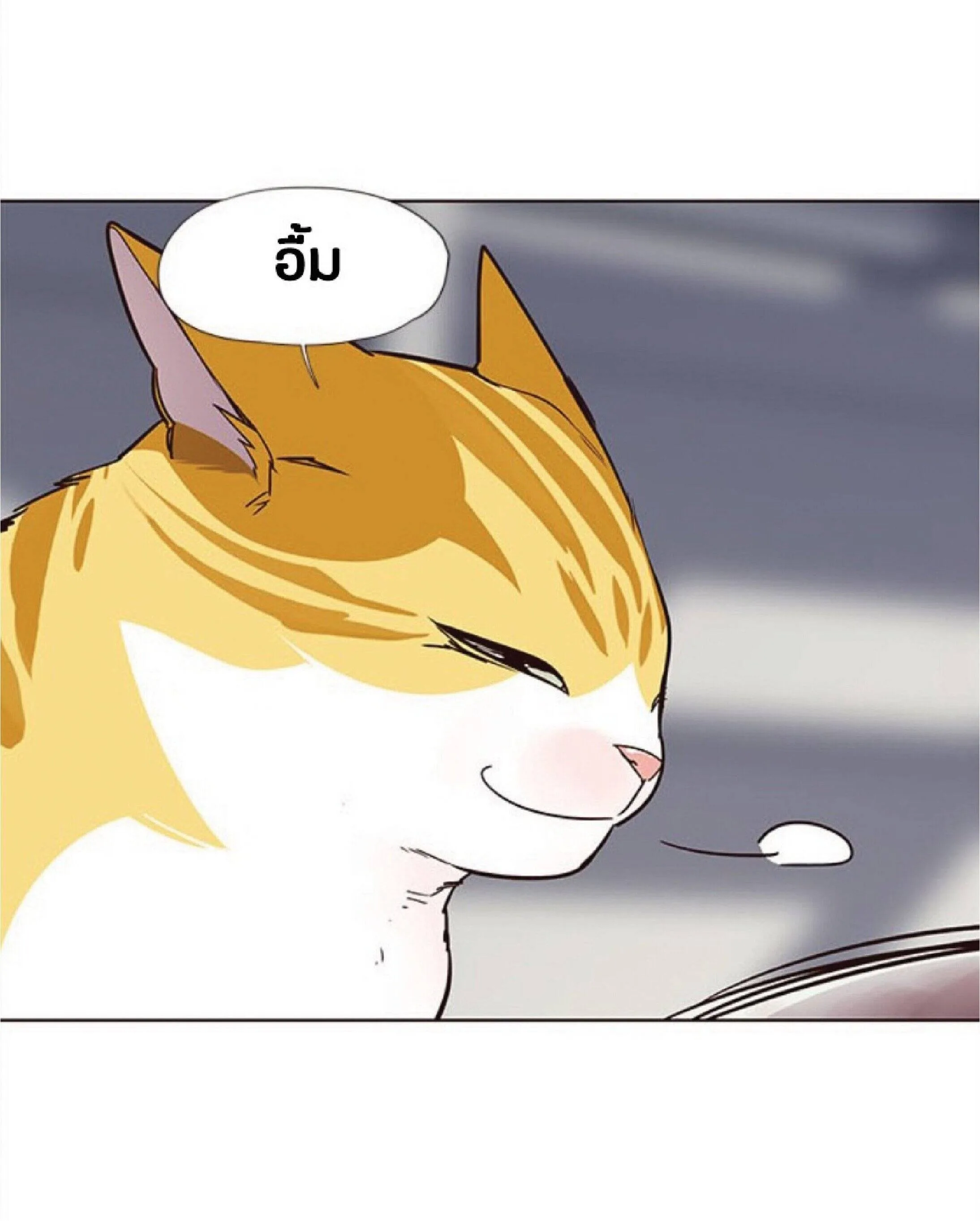 Eleceed อีลีซีด ตอนที่ 27 หน้า 78