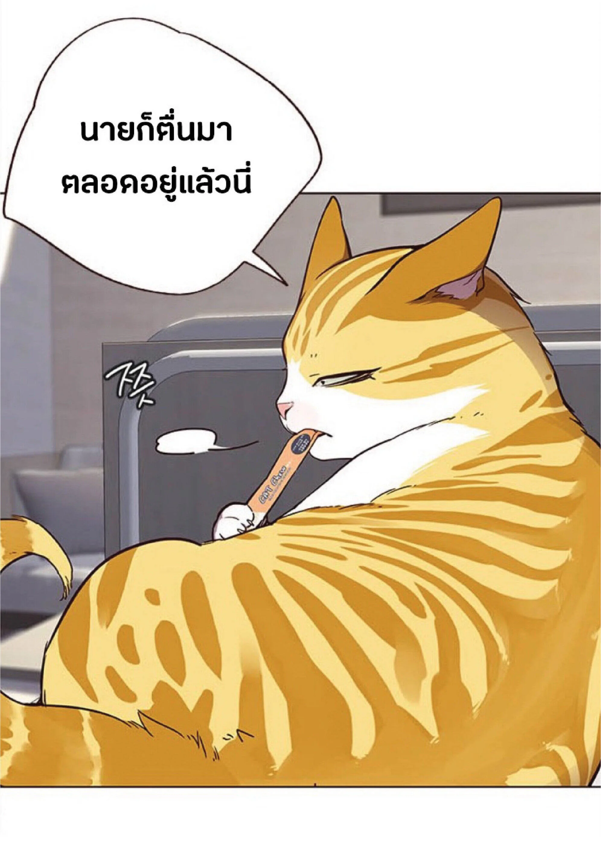 Eleceed อีลีซีด ตอนที่ 28 หน้า 17