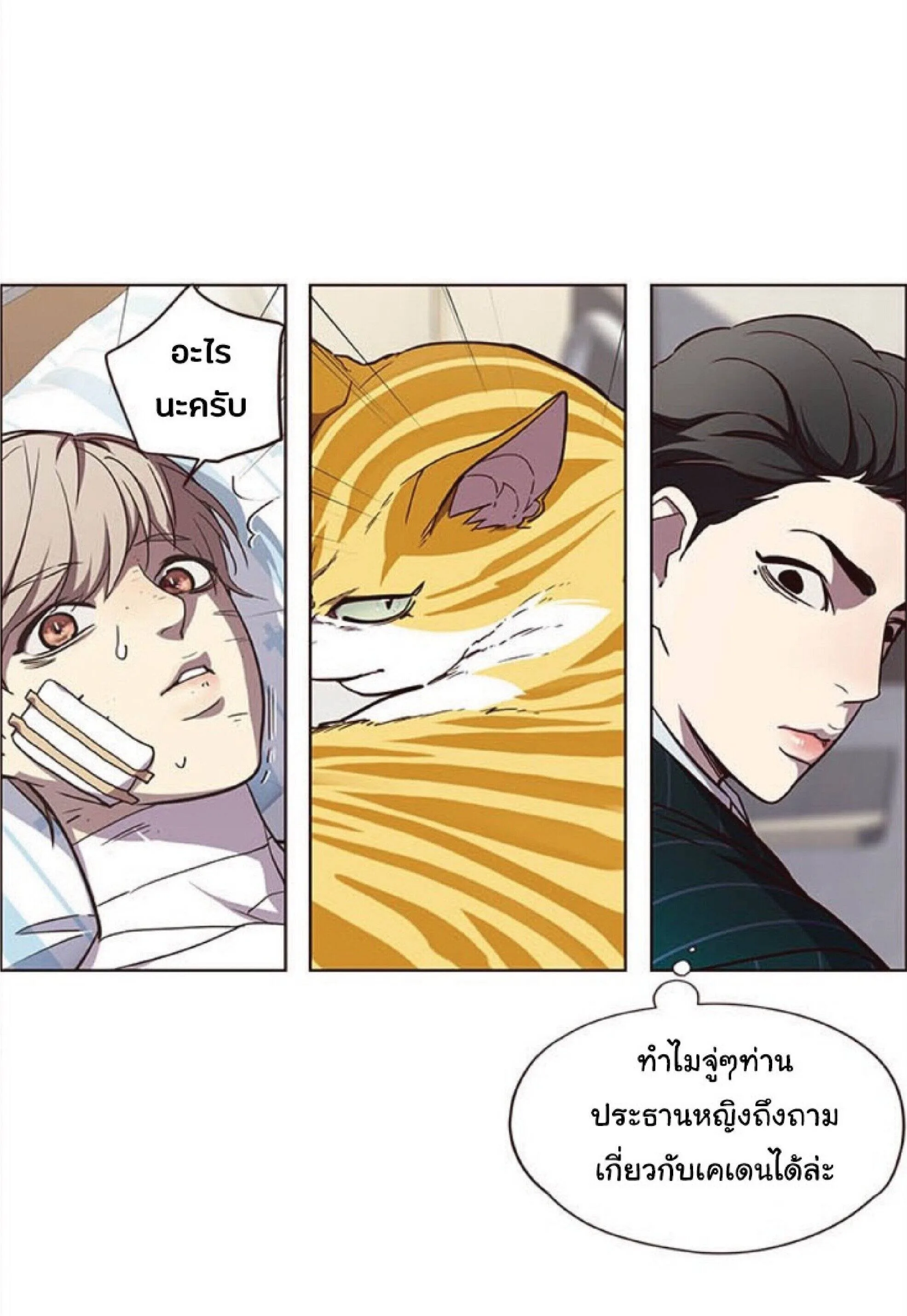Eleceed อีลีซีด ตอนที่ 28 หน้า 41