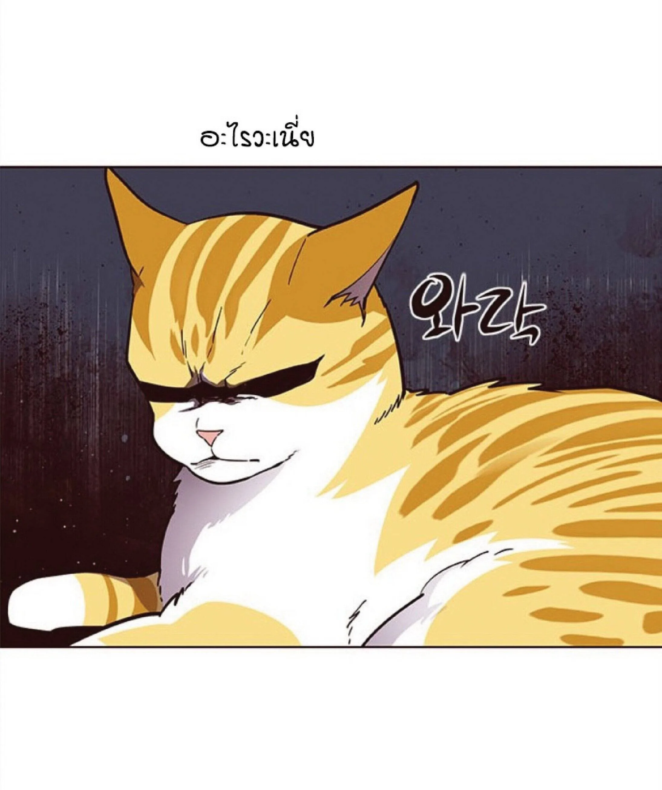 Eleceed อีลีซีด ตอนที่ 28 หน้า 56