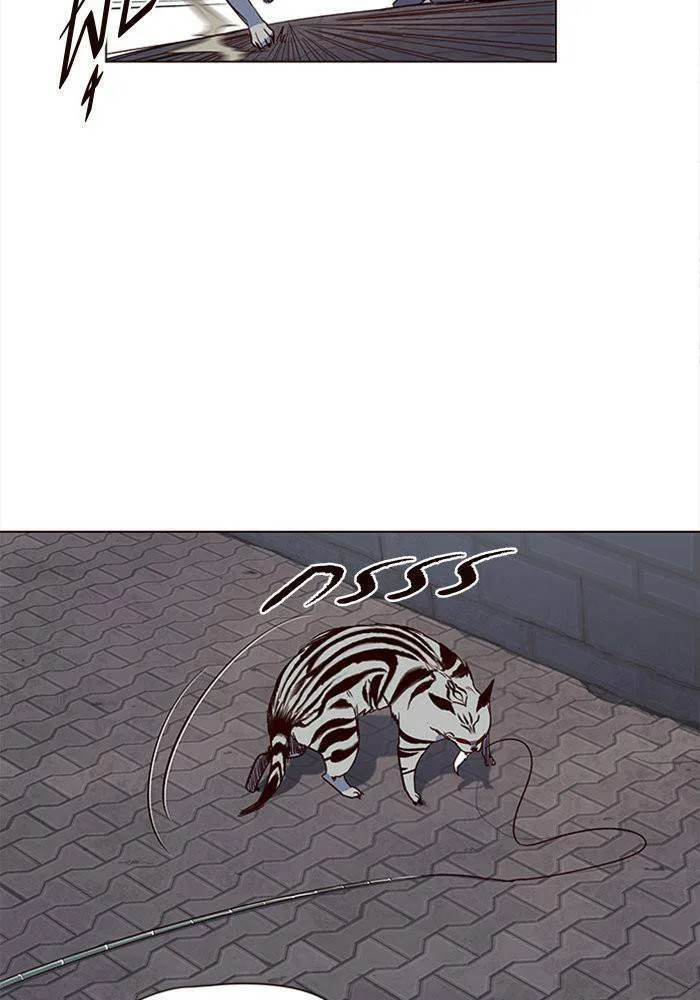 Eleceed อีลีซีด ตอนที่ 3 หน้า 19