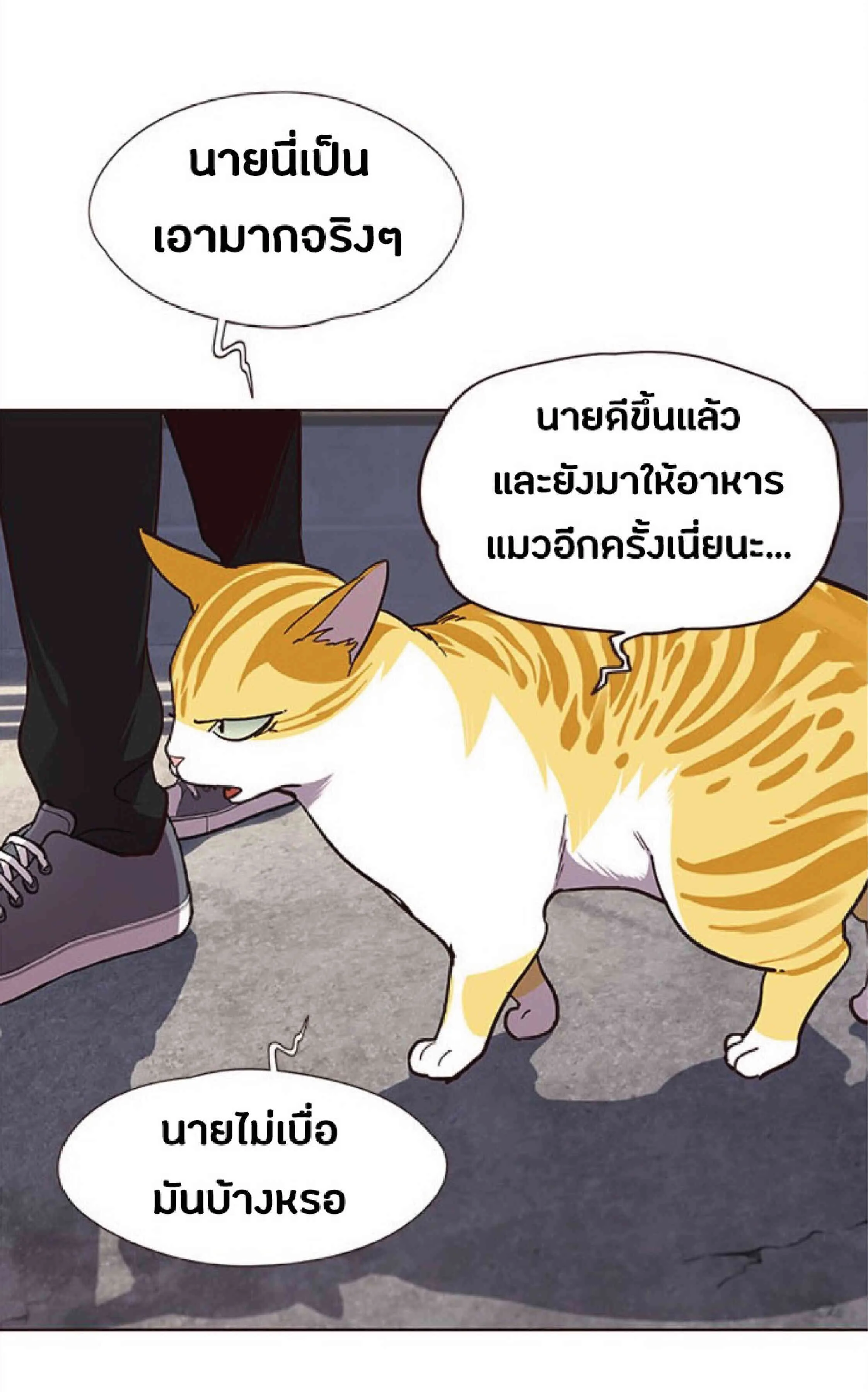 Eleceed อีลีซีด ตอนที่ 36 หน้า 79