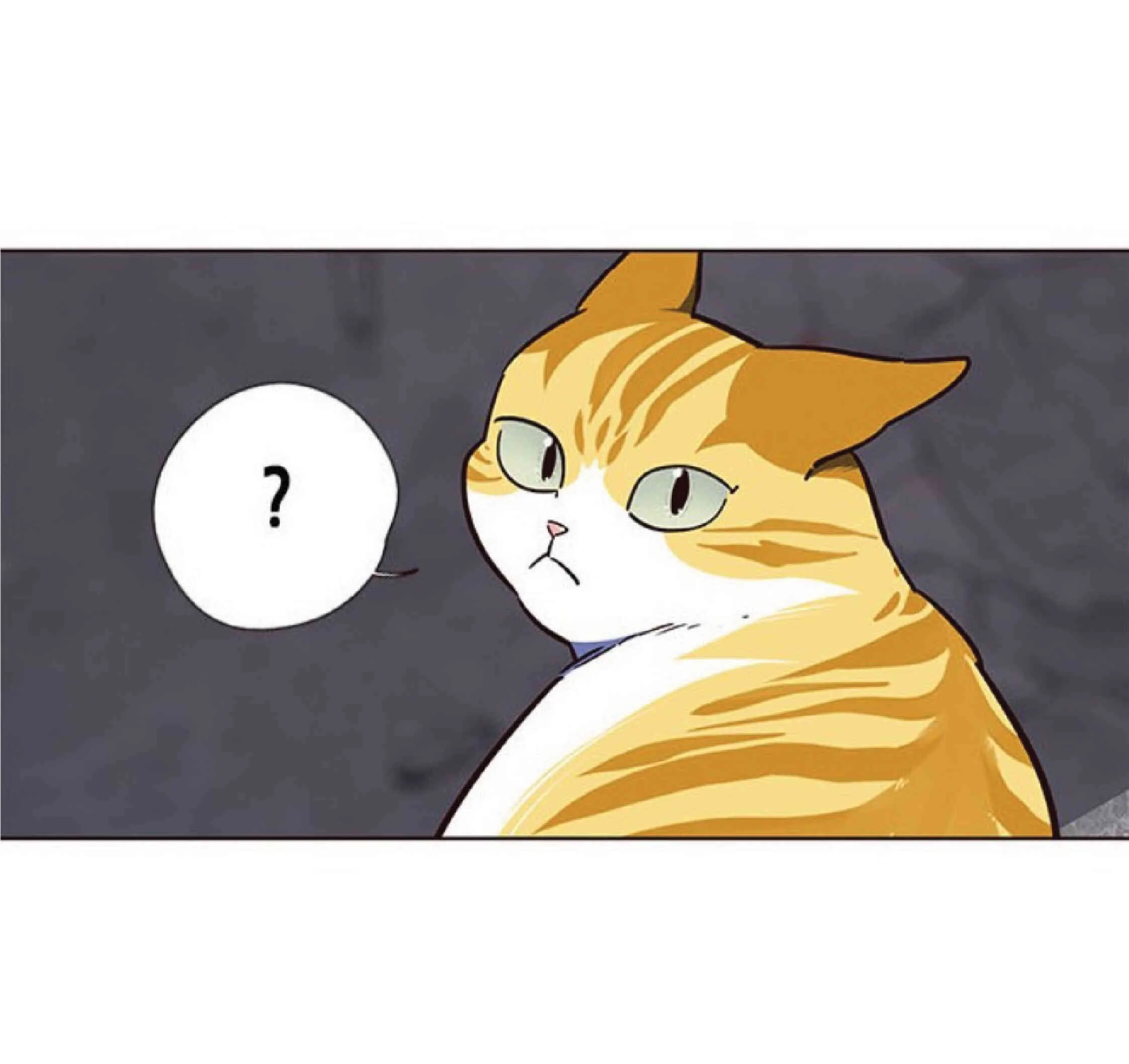 Eleceed อีลีซีด ตอนที่ 41 หน้า 49