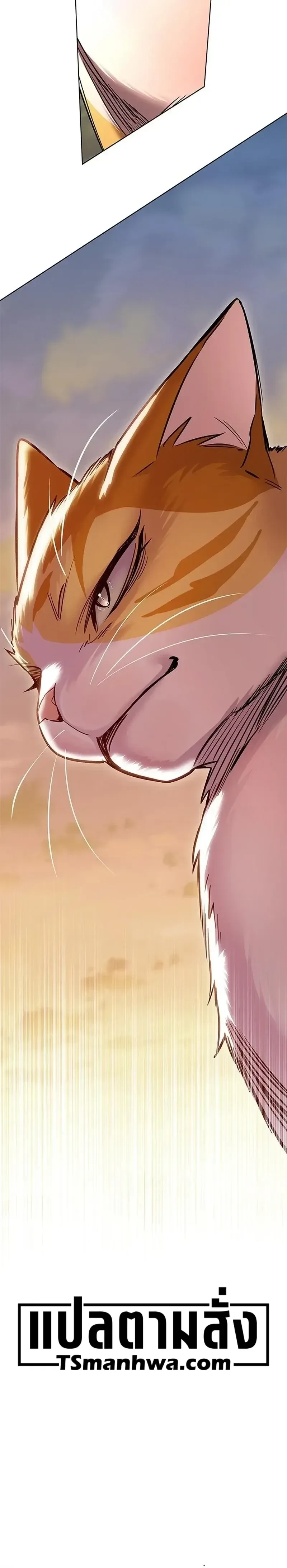 Eleceed อีลีซีด ตอนที่ 421 หน้า 16