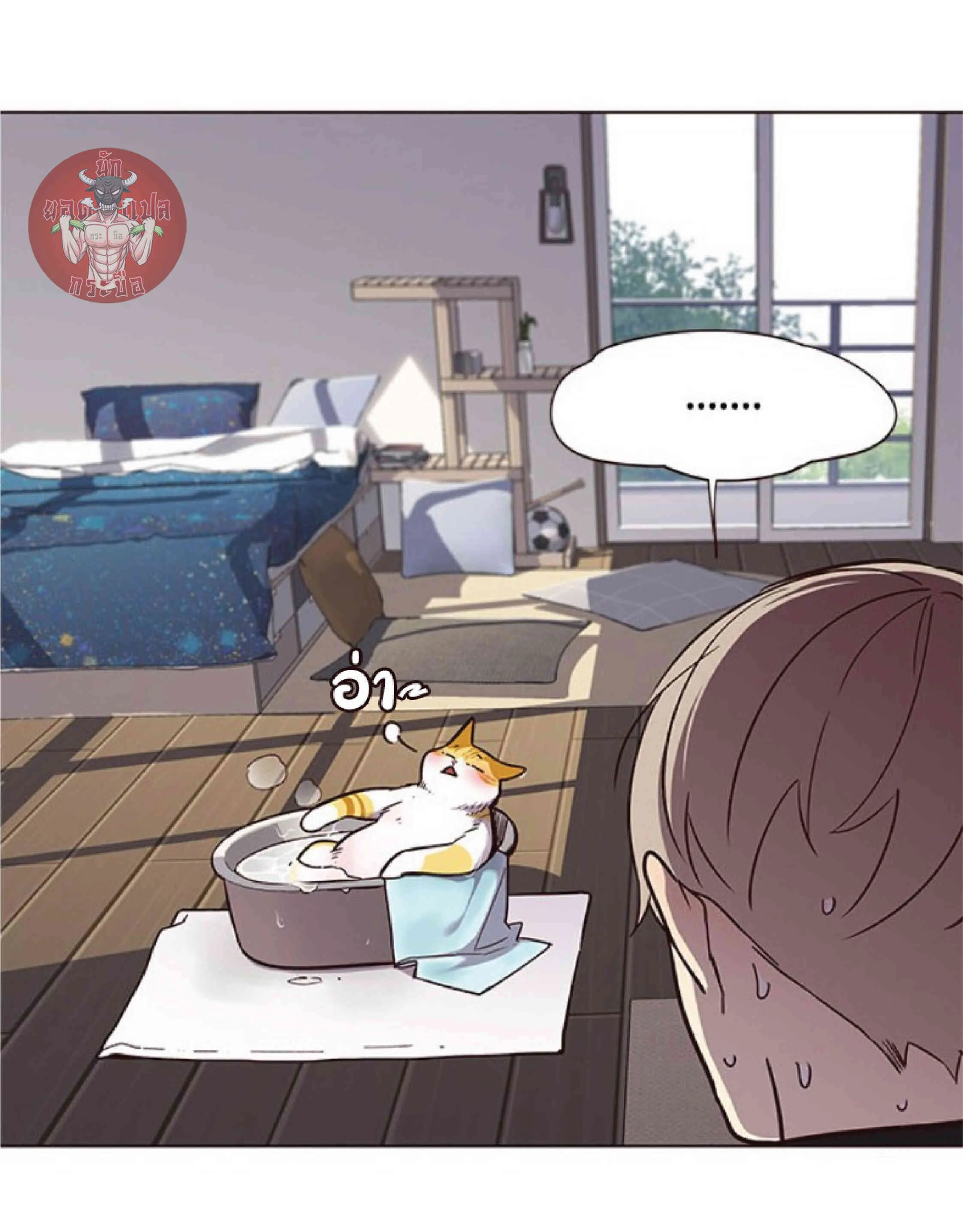 Eleceed อีลีซีด ตอนที่ 47 หน้า 36