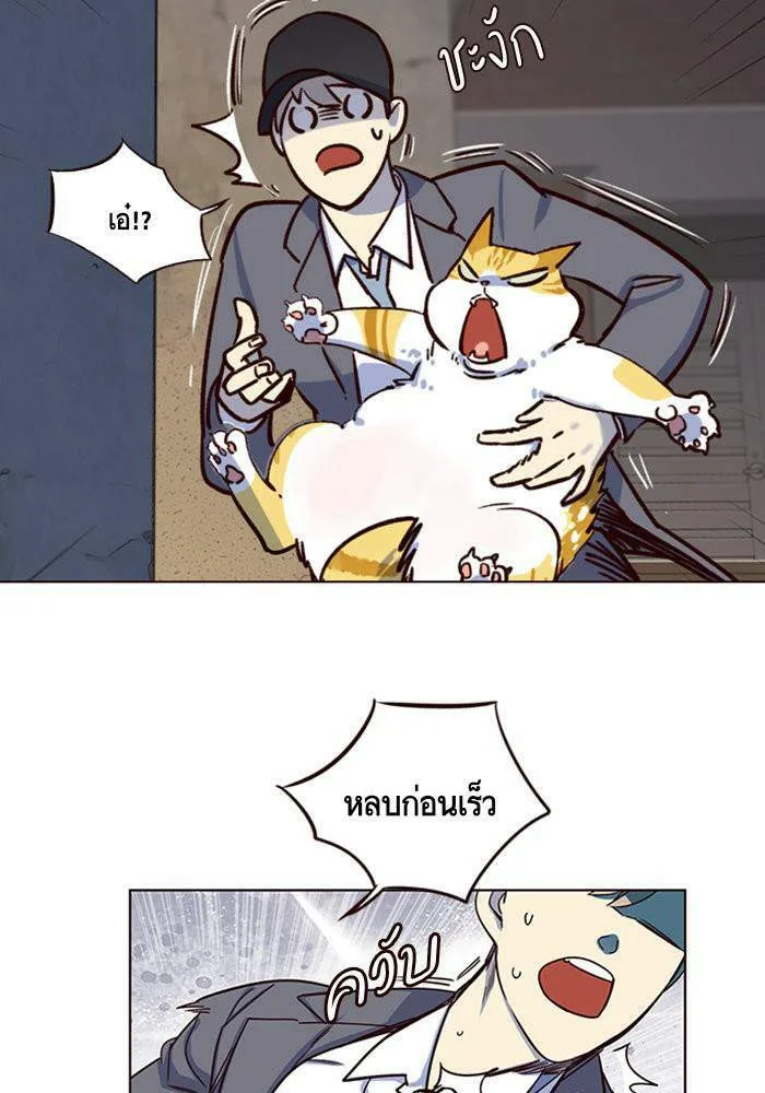 Eleceed อีลีซีด ตอนที่ 5 หน้า 36