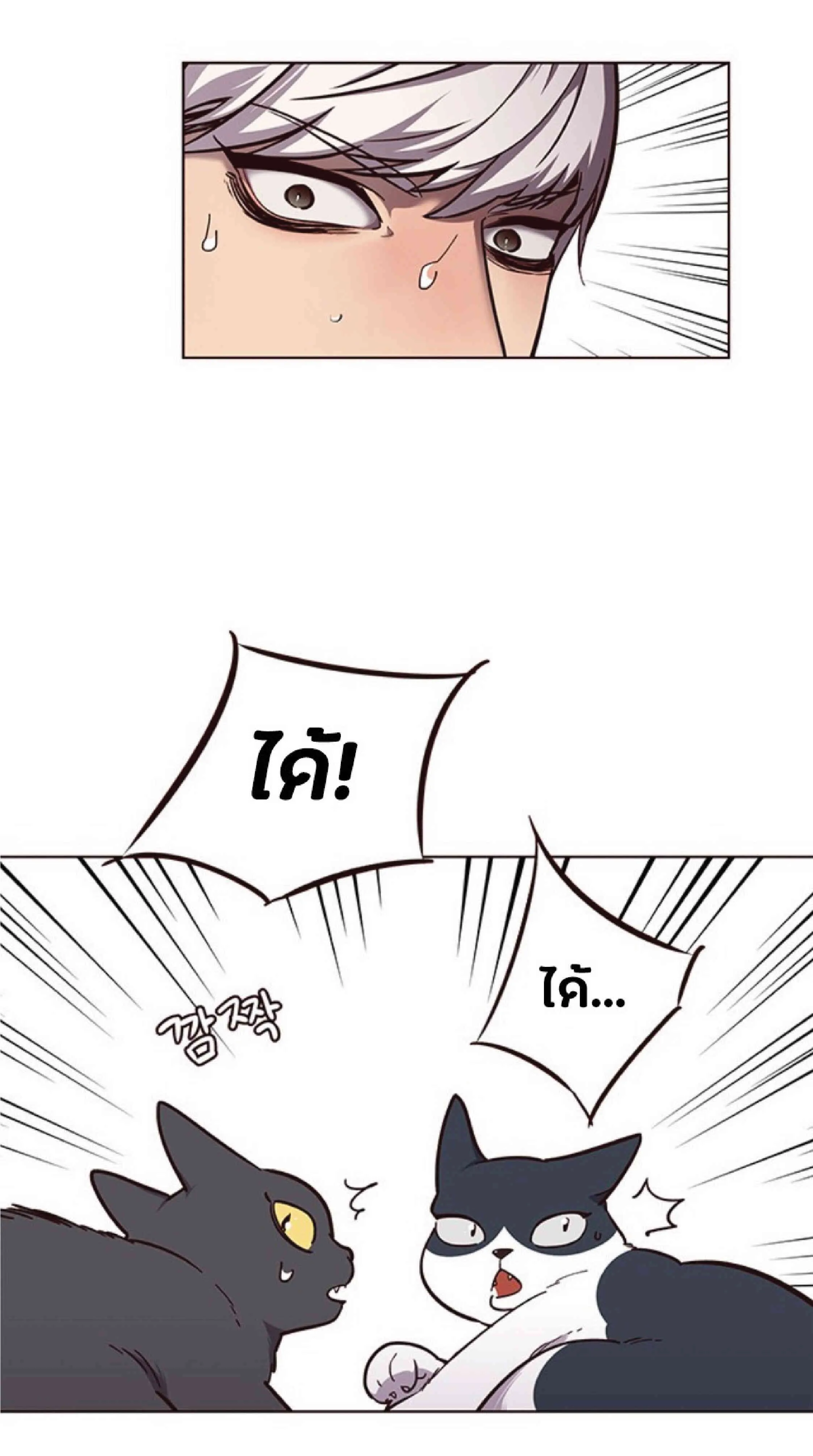 Eleceed อีลีซีด ตอนที่ 50 หน้า 16