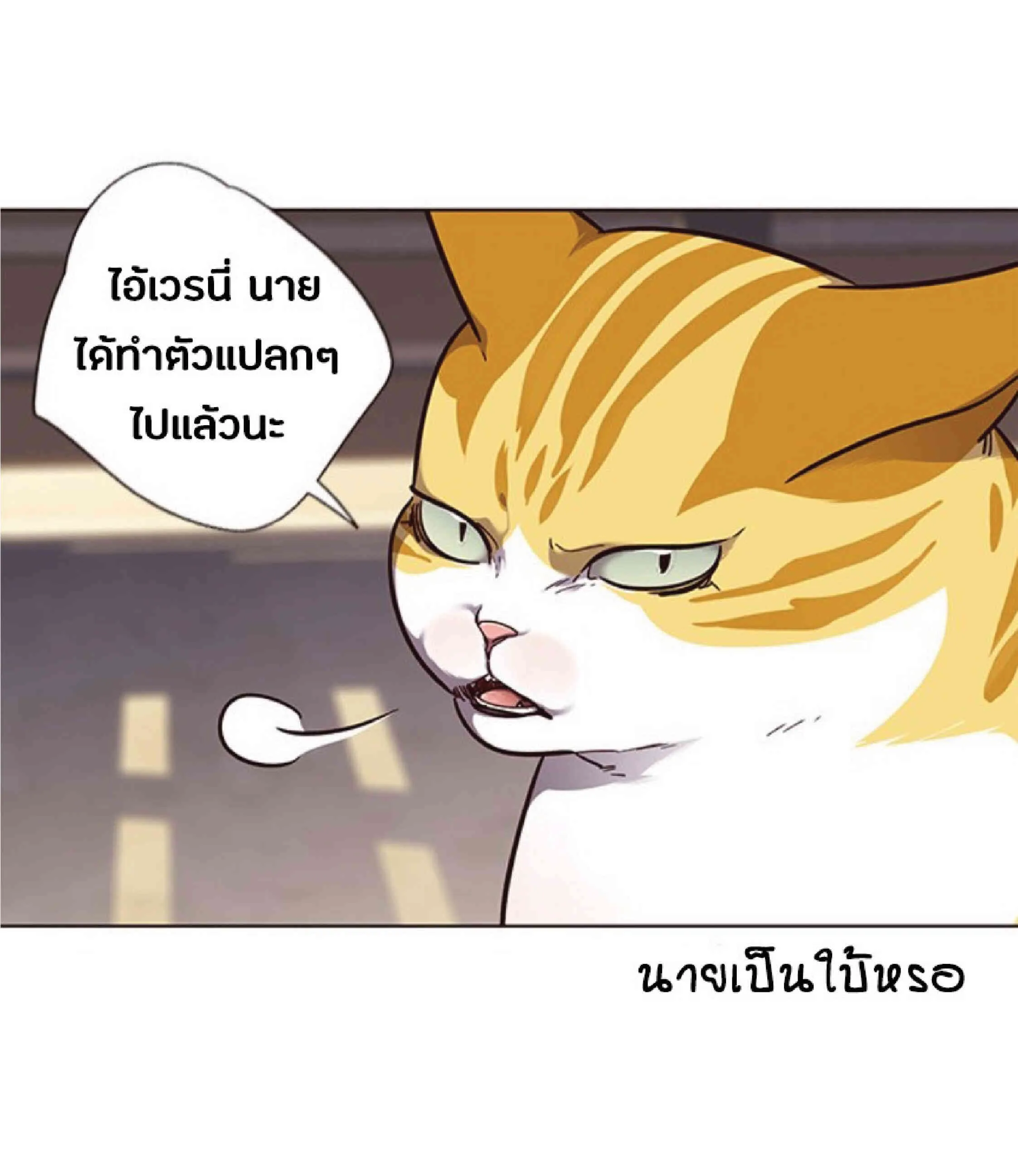 Eleceed อีลีซีด ตอนที่ 50 หน้า 27