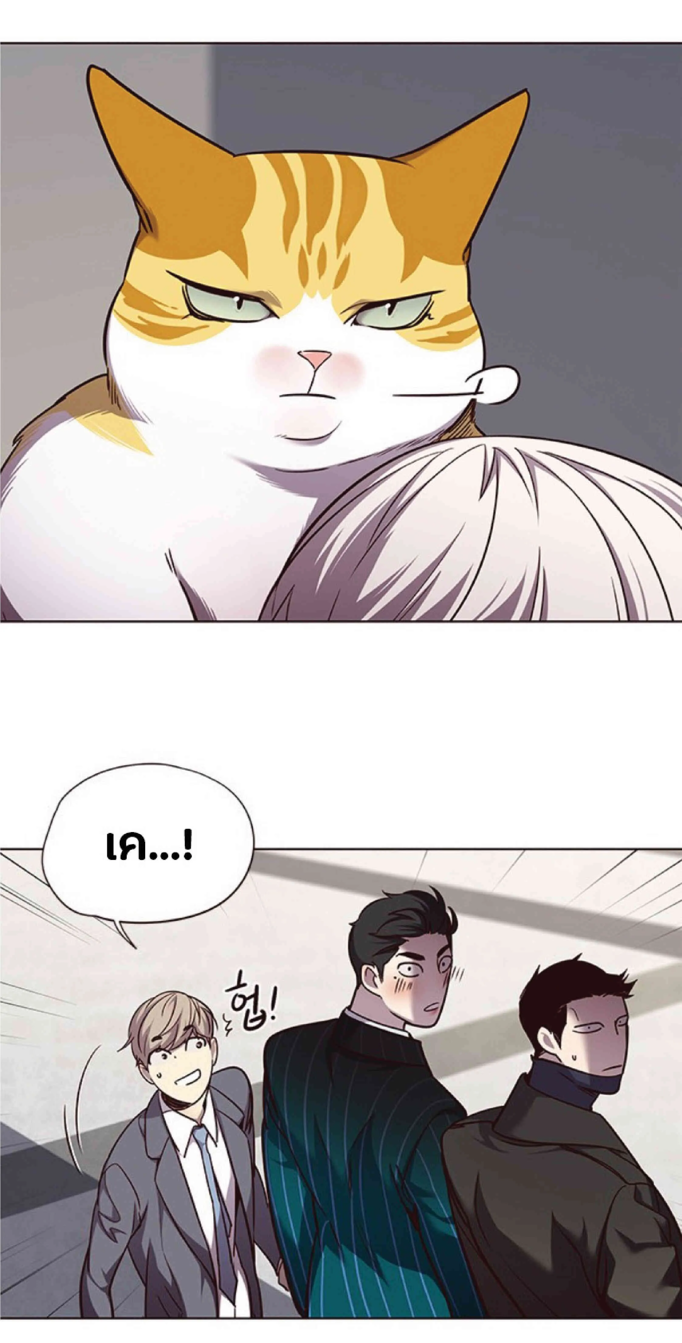 Eleceed อีลีซีด ตอนที่ 52 หน้า 31