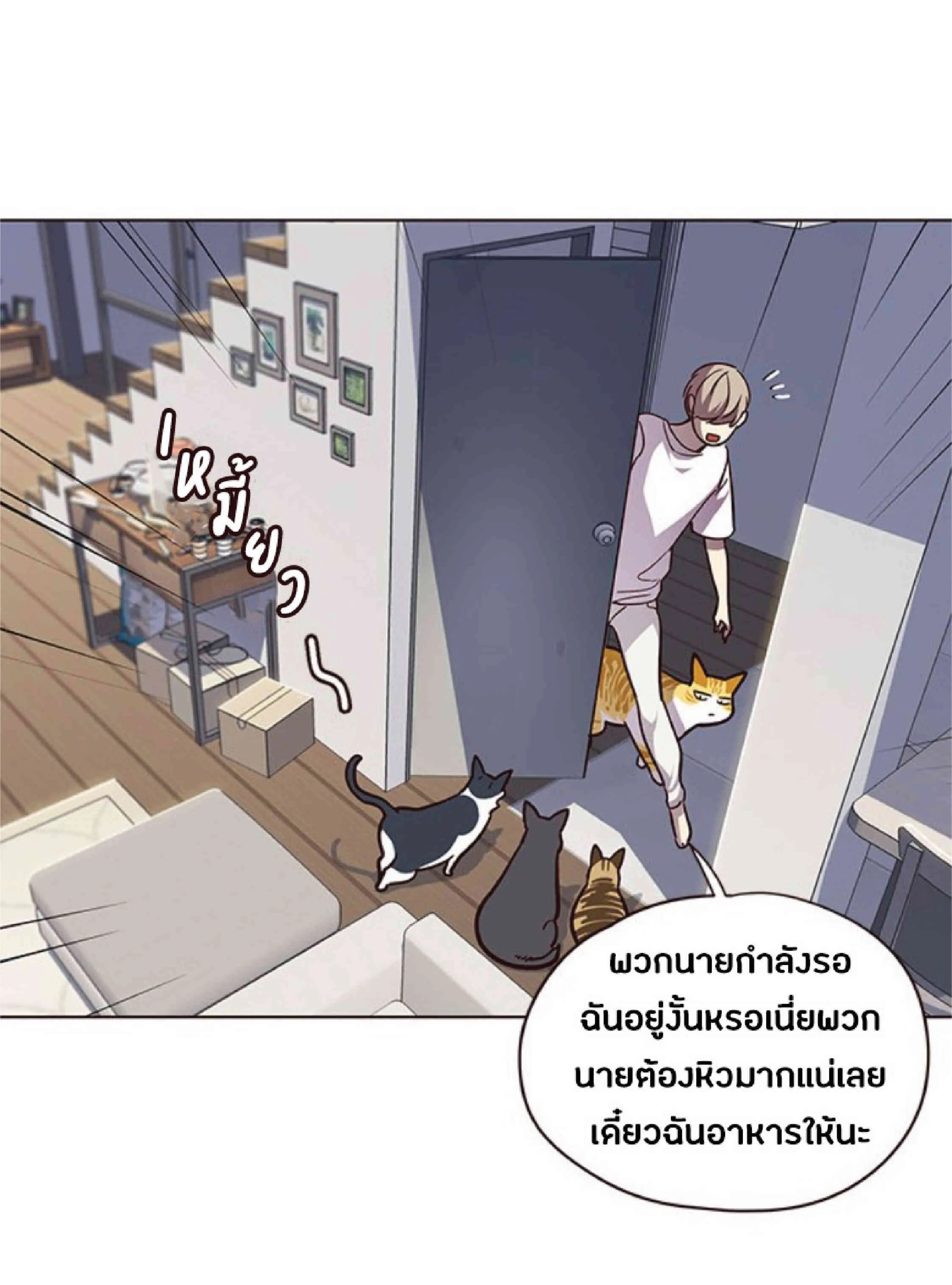 Eleceed อีลีซีด ตอนที่ 55 หน้า 13