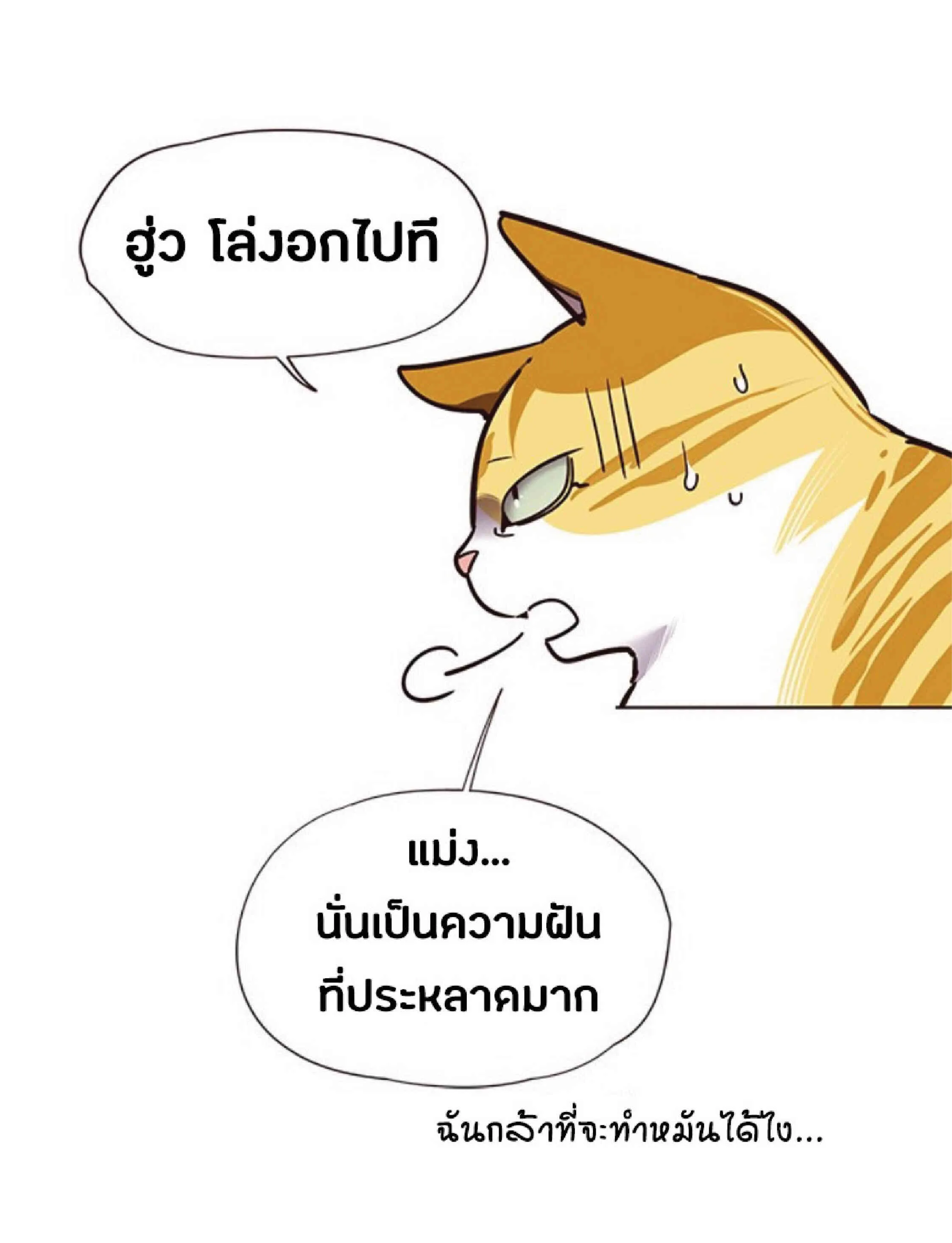 Eleceed อีลีซีด ตอนที่ 56 หน้า 19