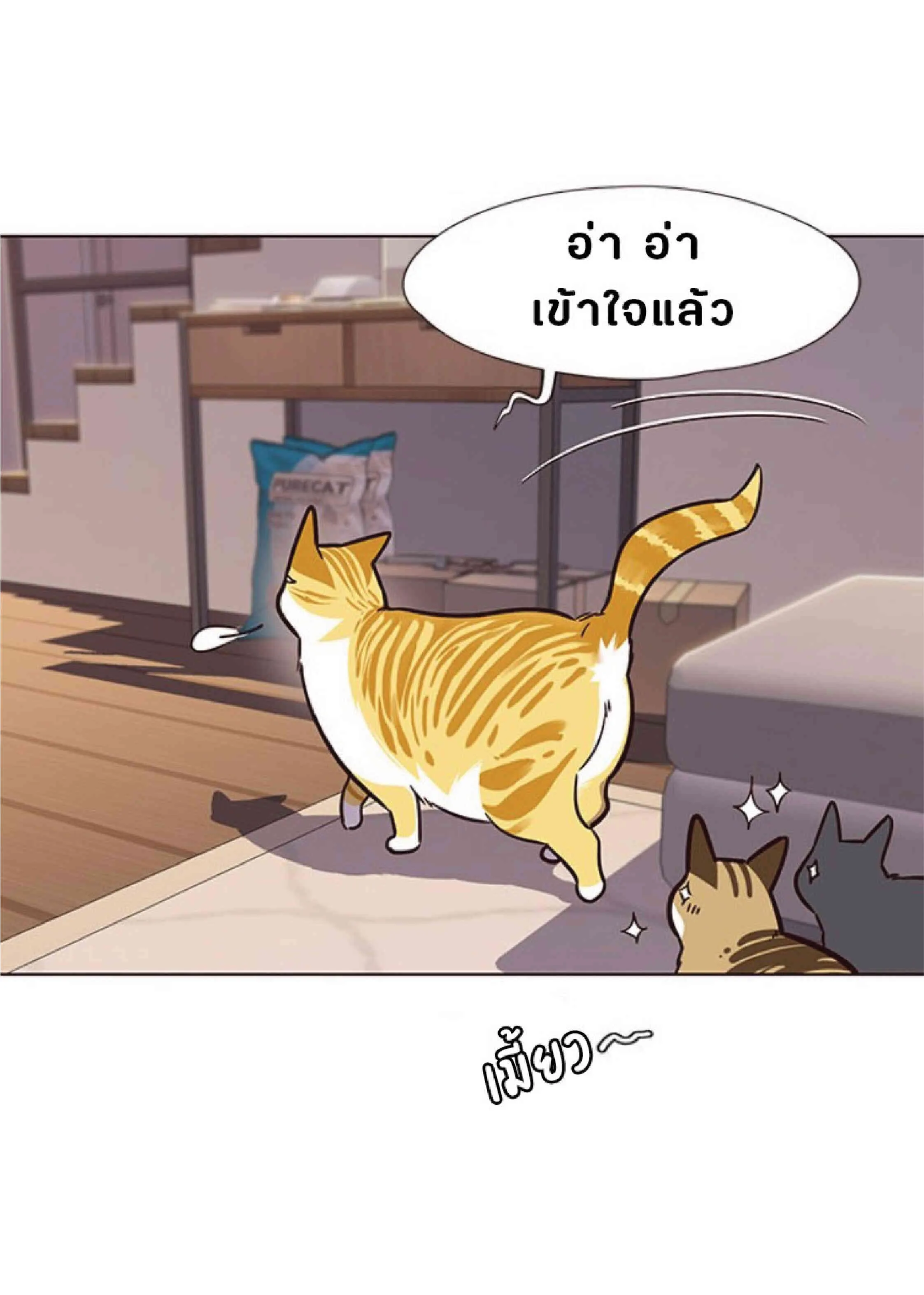 Eleceed อีลีซีด ตอนที่ 56 หน้า 53