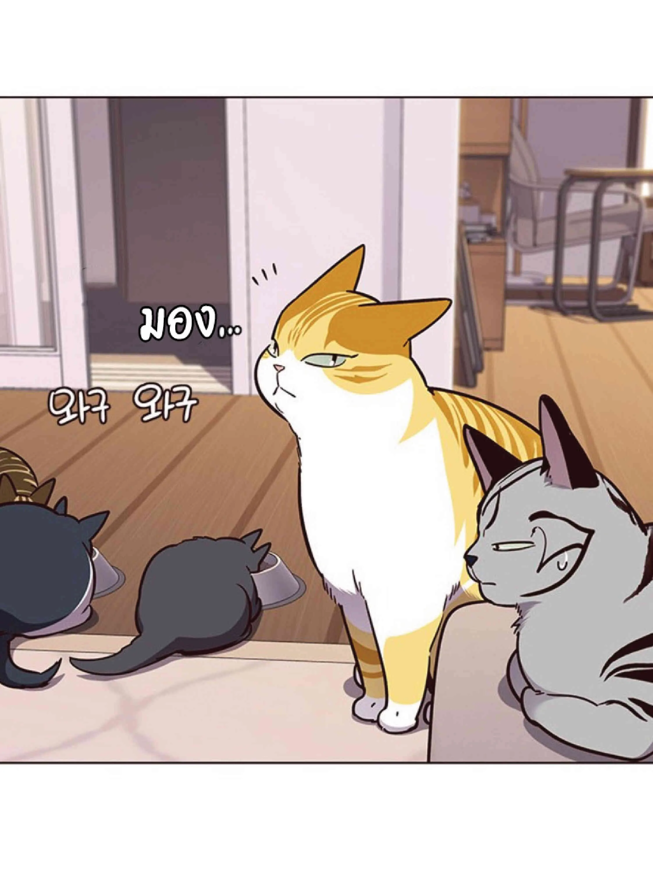 Eleceed อีลีซีด ตอนที่ 56 หน้า 56
