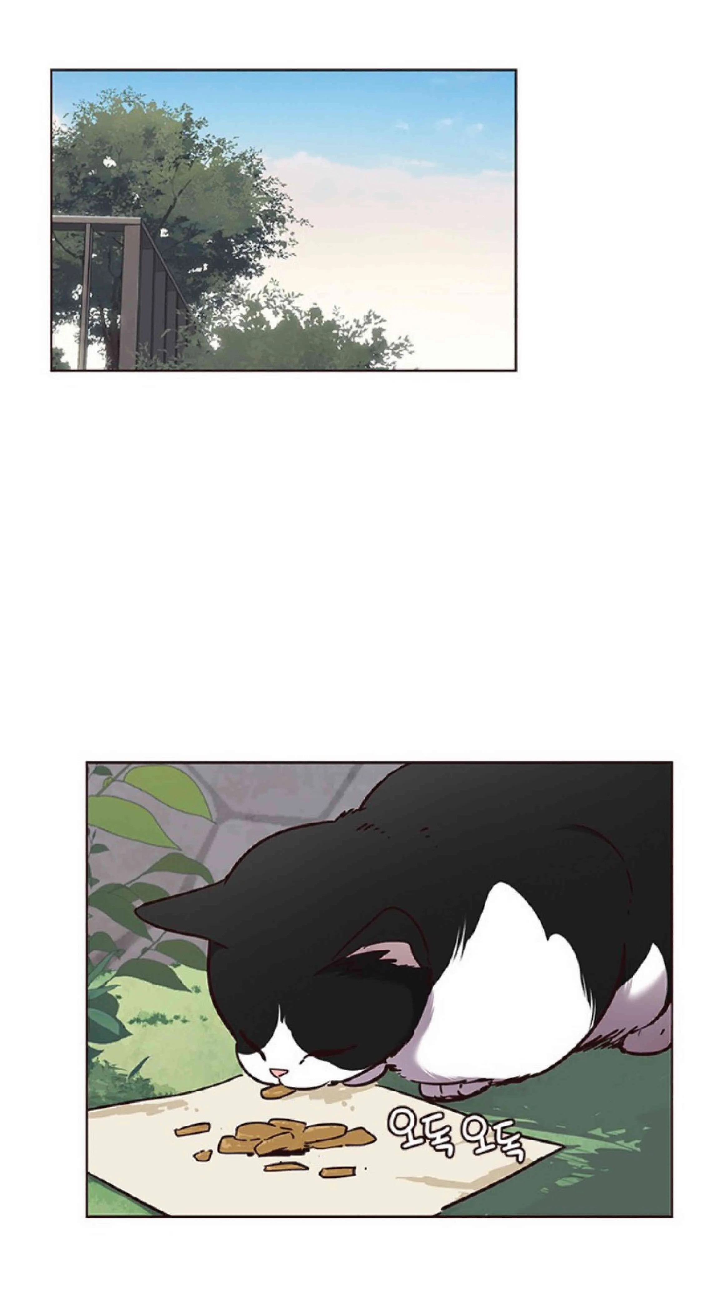 Eleceed อีลีซีด ตอนที่ 57 หน้า 16