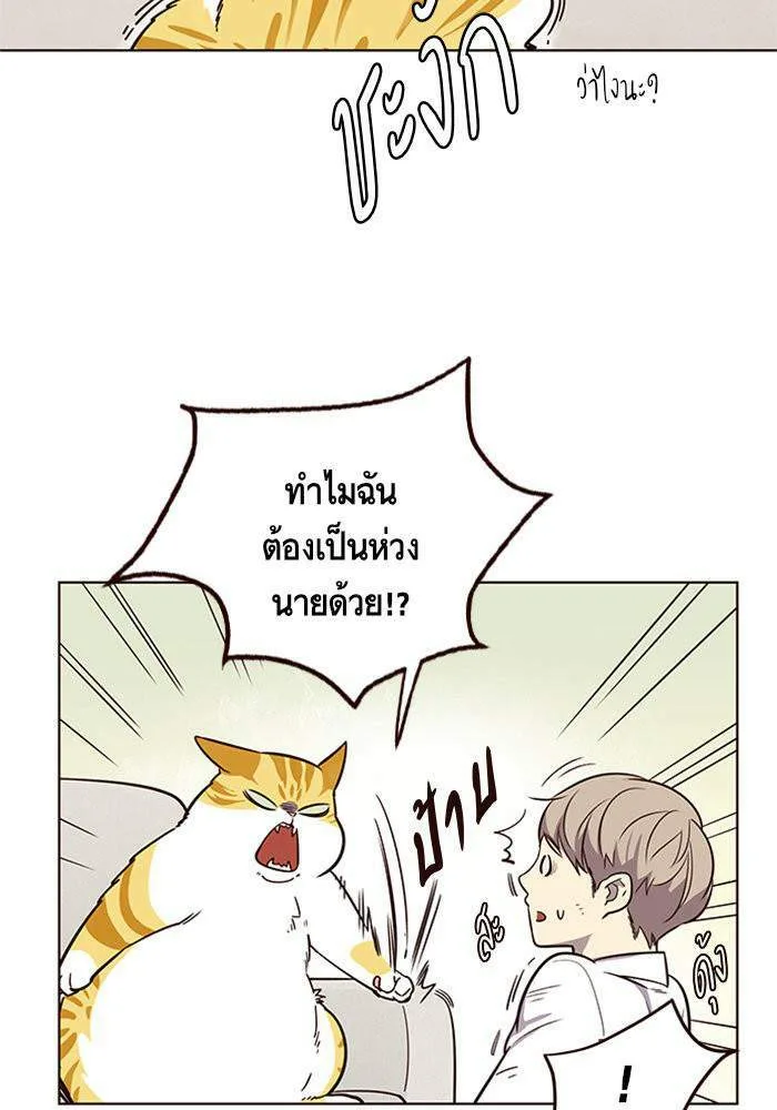 Eleceed อีลีซีด ตอนที่ 6 หน้า 29