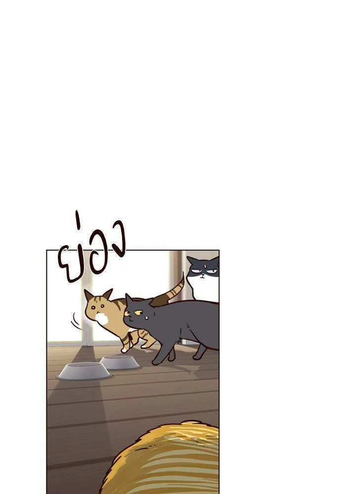 Eleceed อีลีซีด ตอนที่ 6 หน้า 67