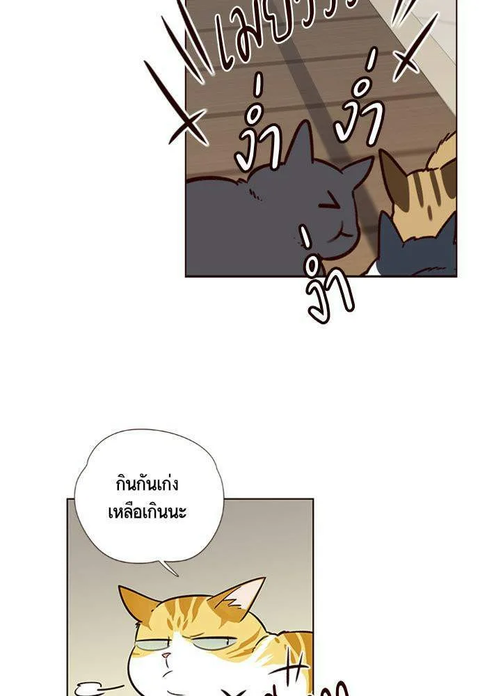 Eleceed อีลีซีด ตอนที่ 6 หน้า 70