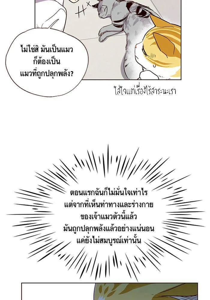 Eleceed อีลีซีด ตอนที่ 6 หน้า 9
