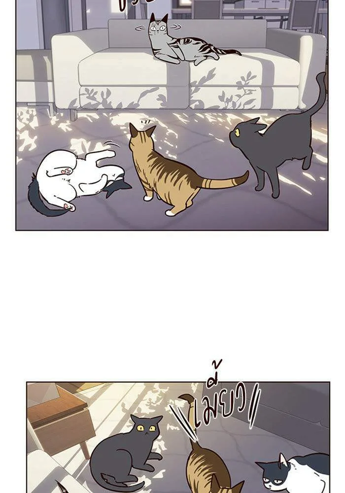 Eleceed อีลีซีด ตอนที่ 7 หน้า 62