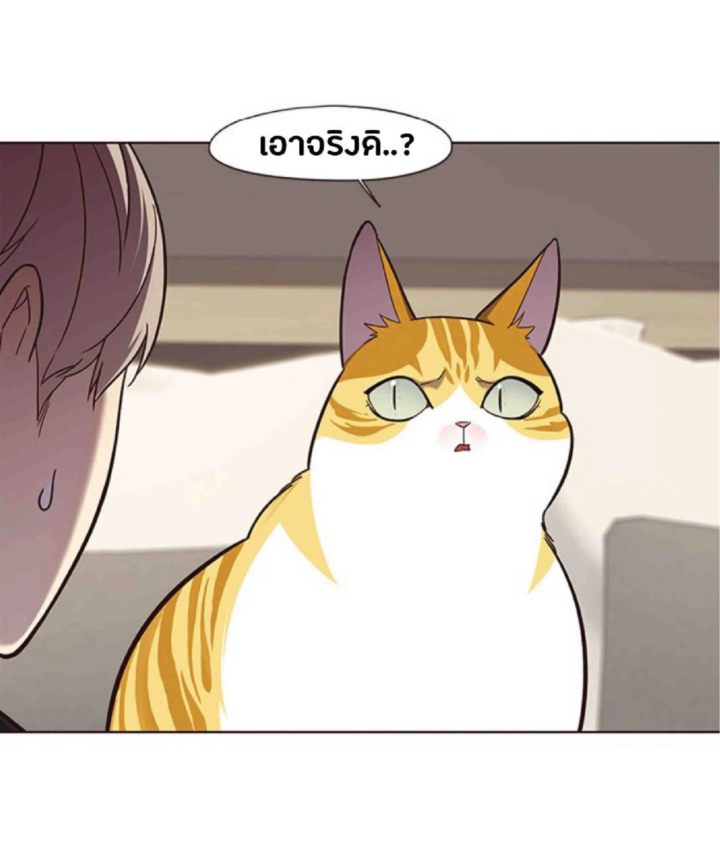 Eleceed อีลีซีด ตอนที่ 82 หน้า 6