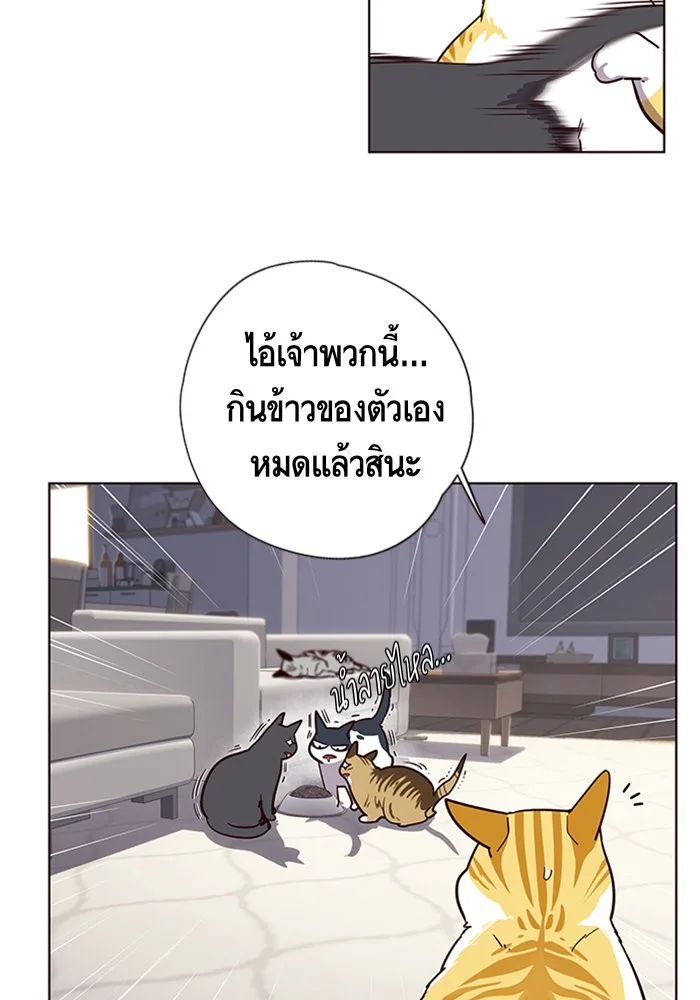 Eleceed อีลีซีด ตอนที่ 9 หน้า 31