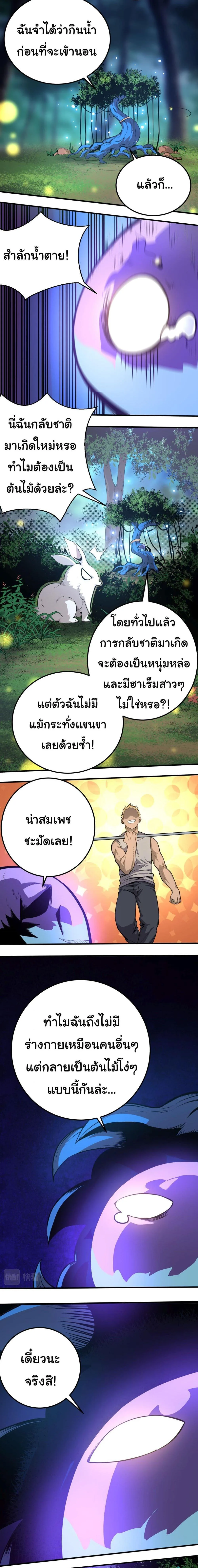 Evolution from the Big Tree เกิดใหม่กลายเป็นต้นไม้ซะอย่างงั้น ตอนที่ 1 หน้า 5