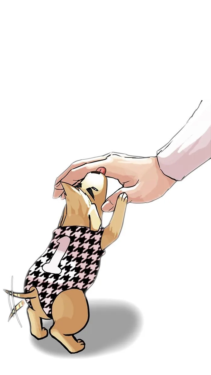 Lookism ตอนที่ 70 หน้า 47