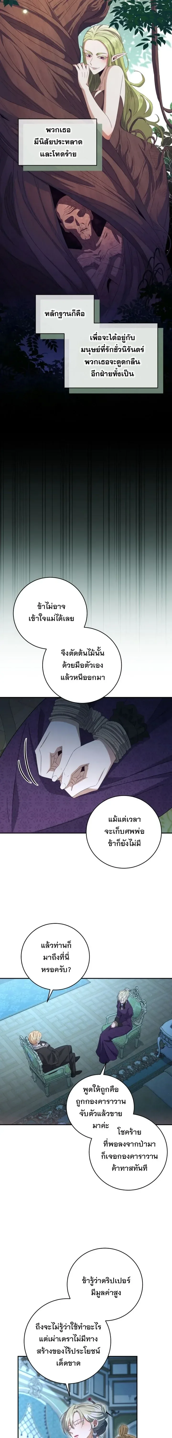 The Margrave’s Bastard Used to Be the Emperor จากจักรพรรดิสู่ลูกนอกสมรสของมาร์คกราฟ ตอนที่ 47 หน้า 13