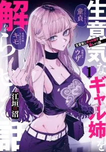 ปก Namaiki na Gal Ane wo Wakaraseru Hanashi