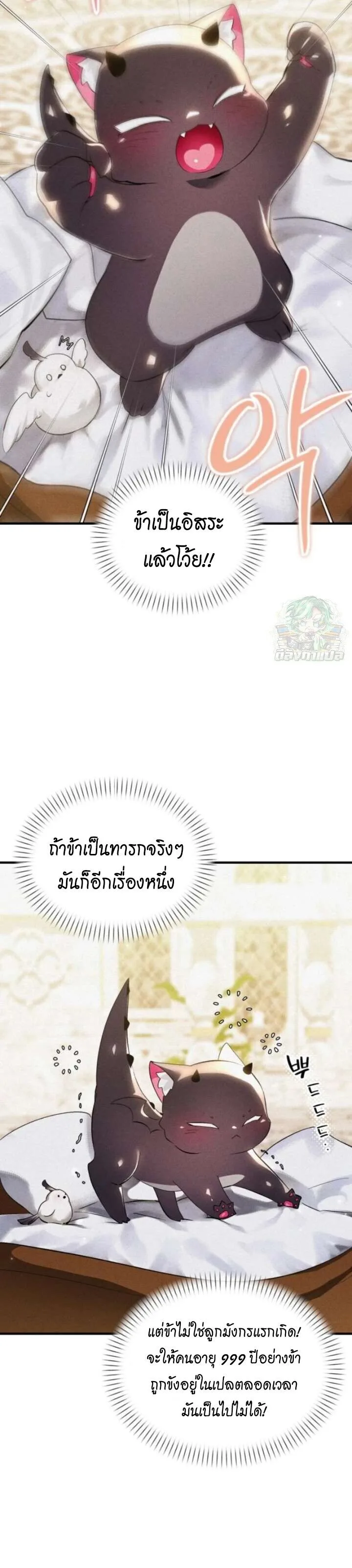 One Day, I Became a Hatchling ชีวิตใหม่ในร่างมังกรตัวน้อย ตอนที่ 6 หน้า 8
