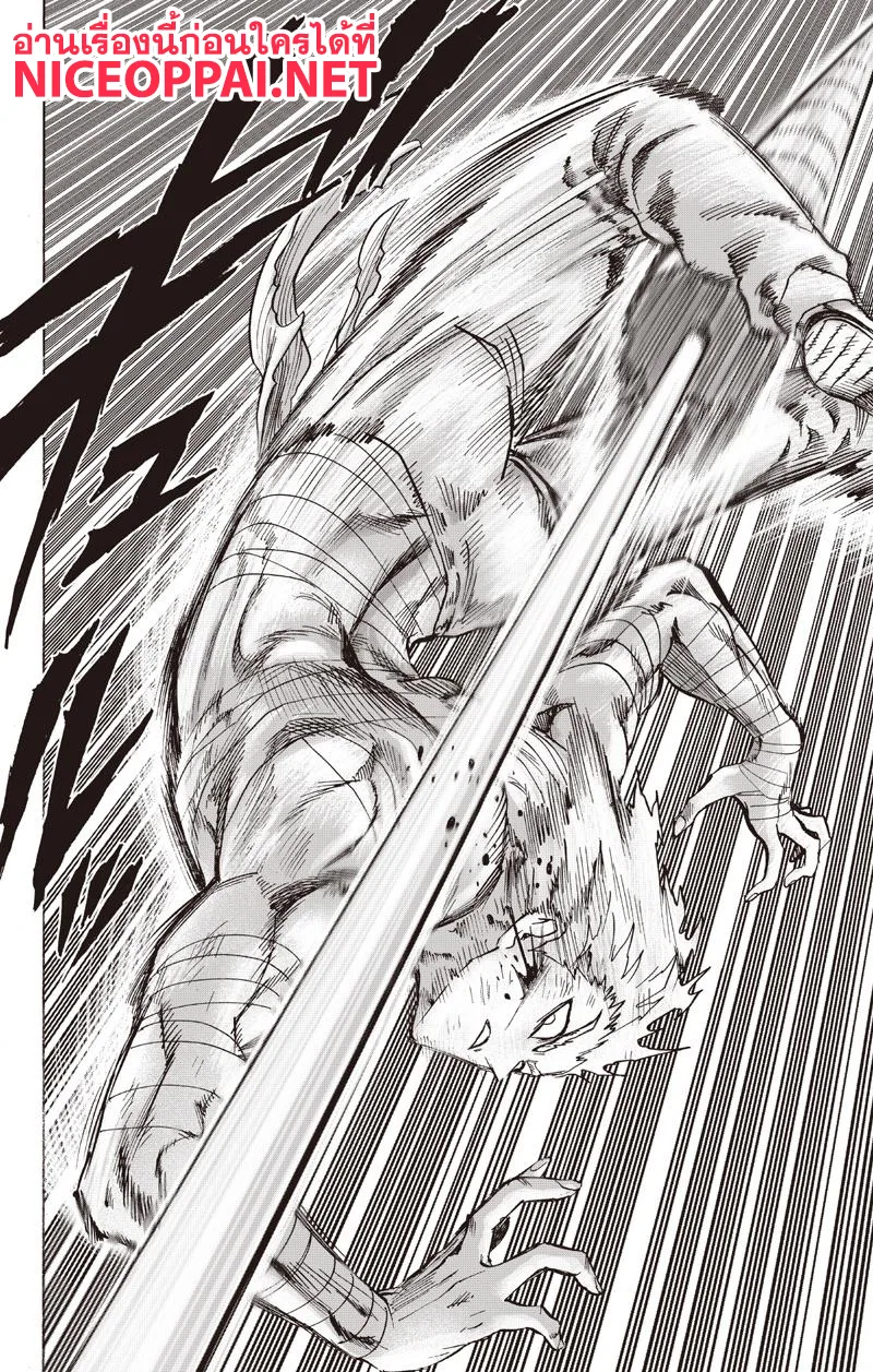 One Punch Man วันพันช์แมน ตอนที่ 81 หน้า 19