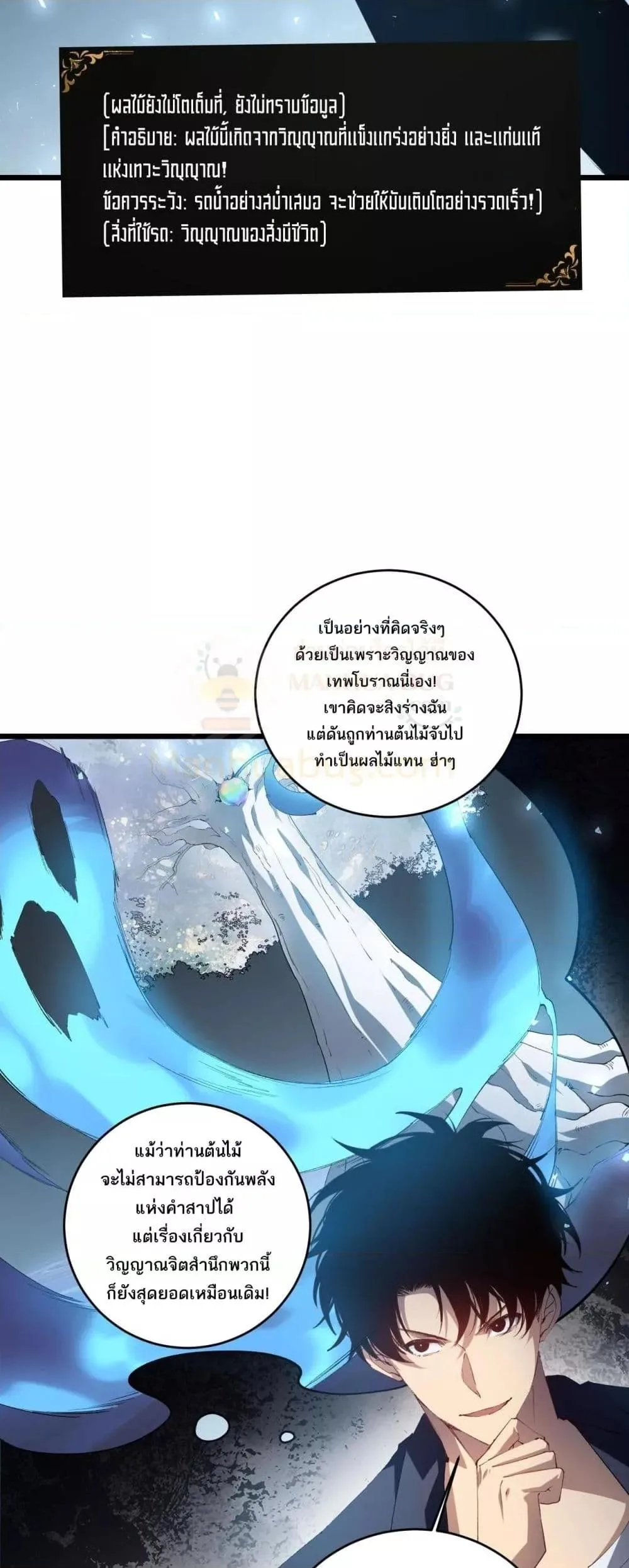 Overlord of Insects อาชีพระดับเทพ เจ้าแห่งแมลงภัยพิบัติ ตอนที่ 40 หน้า 4
