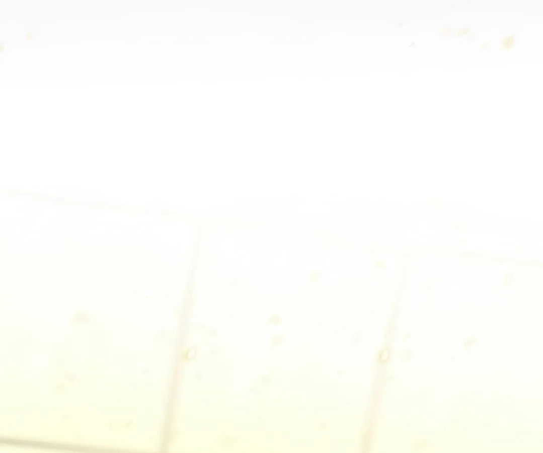 Shinsu Kindergarten ผมกลายเป็นผู้อำนวยการ โรงเรียนอนุบาลเทพอสูรซะงั้น ตอนที่ 1 หน้า 63