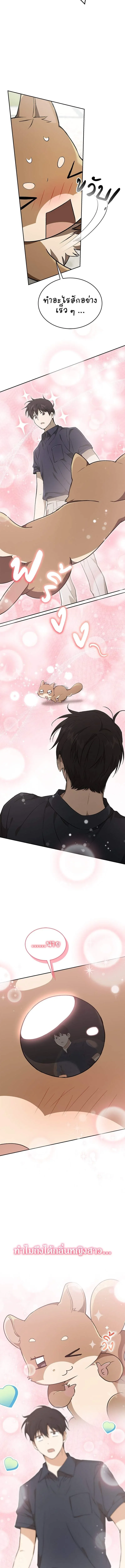 Shinsu Kindergarten ผมกลายเป็นผู้อำนวยการ โรงเรียนอนุบาลเทพอสูรซะงั้น ตอนที่ 39 หน้า 17