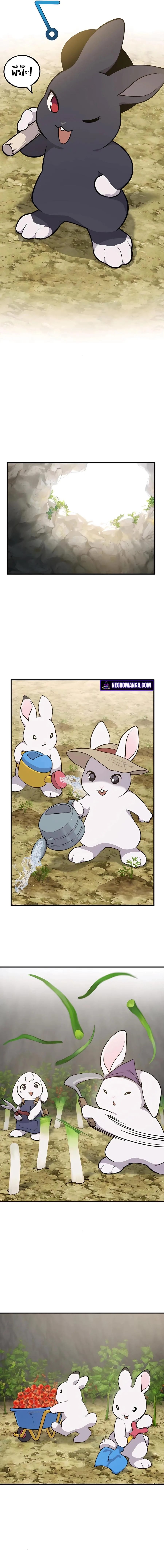 Solo Farming in the Tower ปลูกผักพิชิตหอคอย ตอนที่ 10 หน้า 9