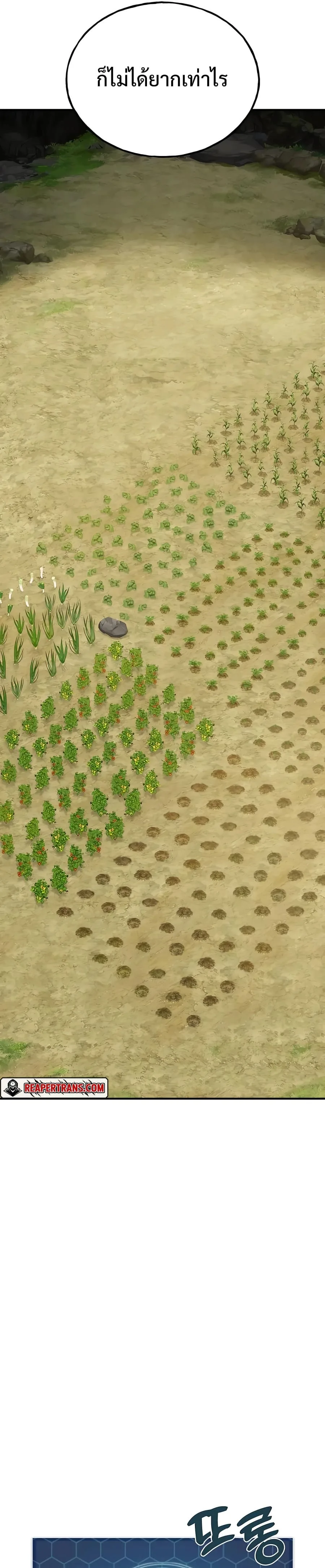 Solo Farming in the Tower ปลูกผักพิชิตหอคอย ตอนที่ 18 หน้า 41