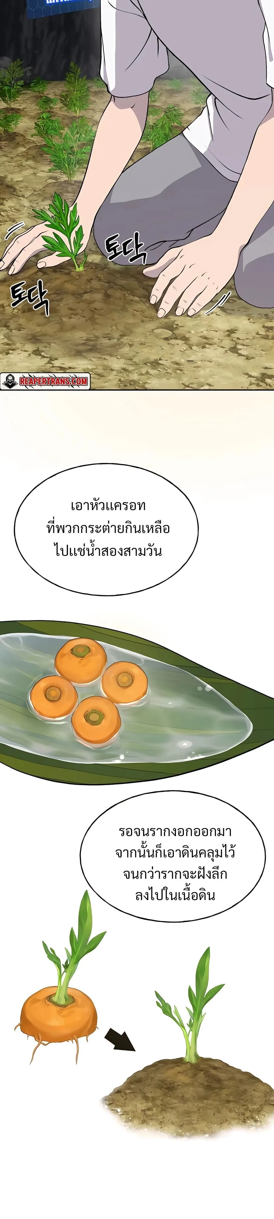 Solo Farming in the Tower ปลูกผักพิชิตหอคอย ตอนที่ 22 หน้า 3