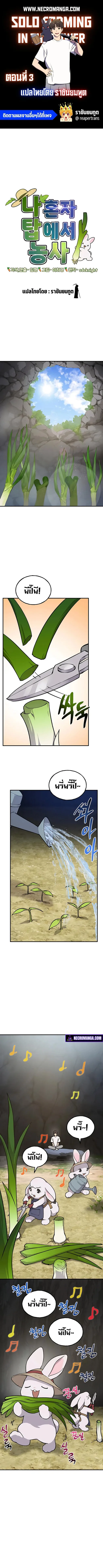 Solo Farming in the Tower ปลูกผักพิชิตหอคอย ตอนที่ 3 หน้า 1
