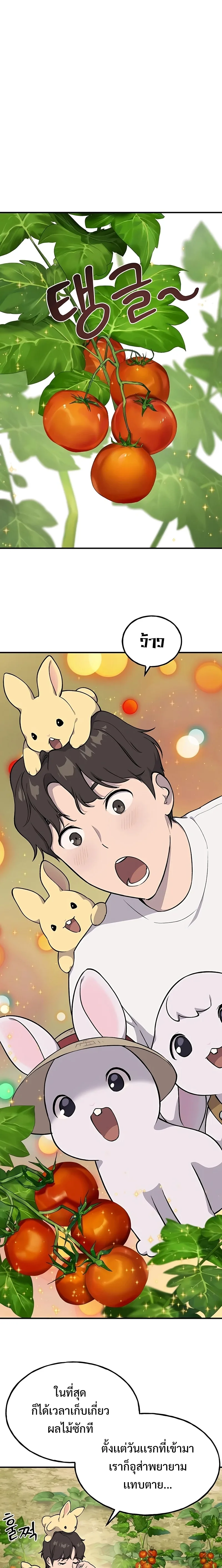 Solo Farming in the Tower ปลูกผักพิชิตหอคอย ตอนที่ 6 หน้า 13