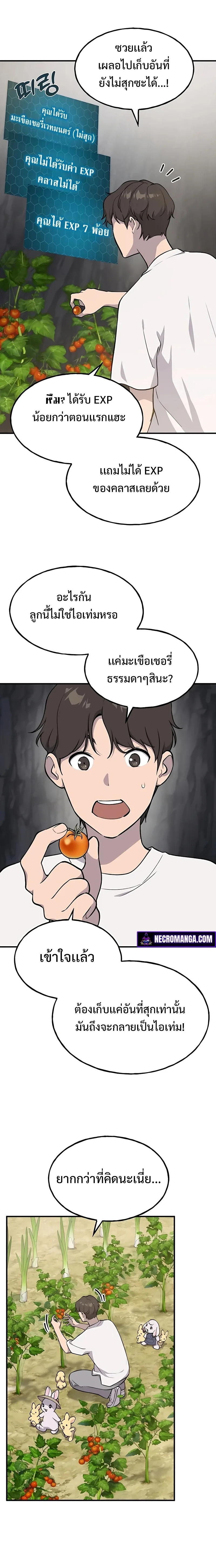 Solo Farming in the Tower ปลูกผักพิชิตหอคอย ตอนที่ 6 หน้า 18
