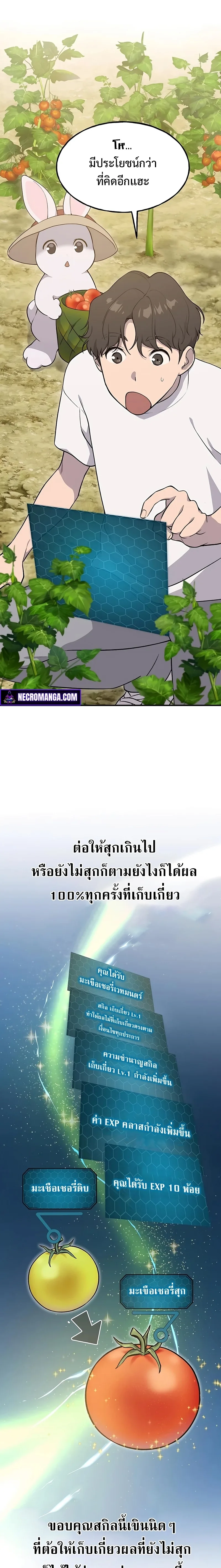 Solo Farming in the Tower ปลูกผักพิชิตหอคอย ตอนที่ 6 หน้า 31