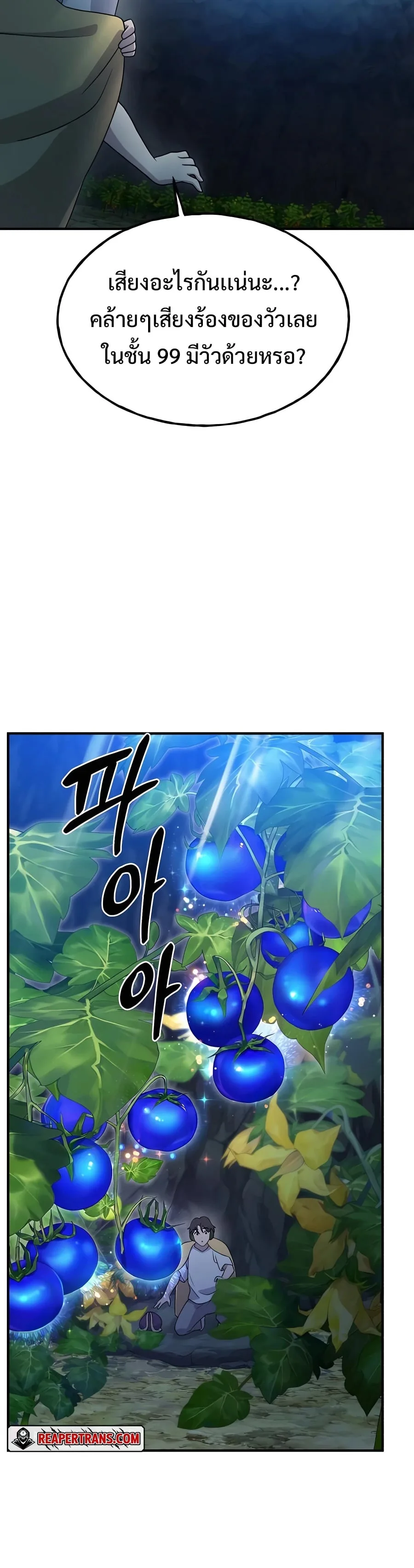 Solo Farming In The Tower ตอนที่ 31 หน้า 24
