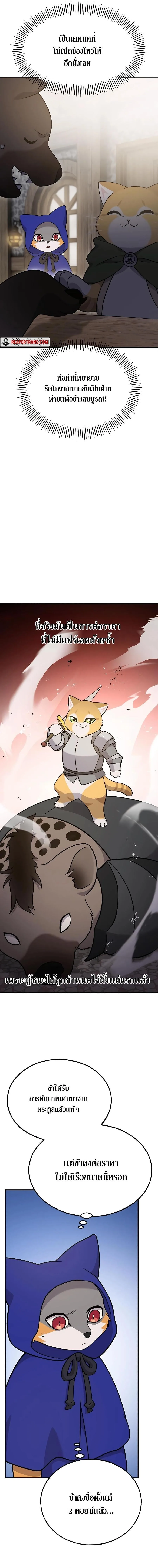 Solo Farming In The Tower ตอนที่ 37 หน้า 11
