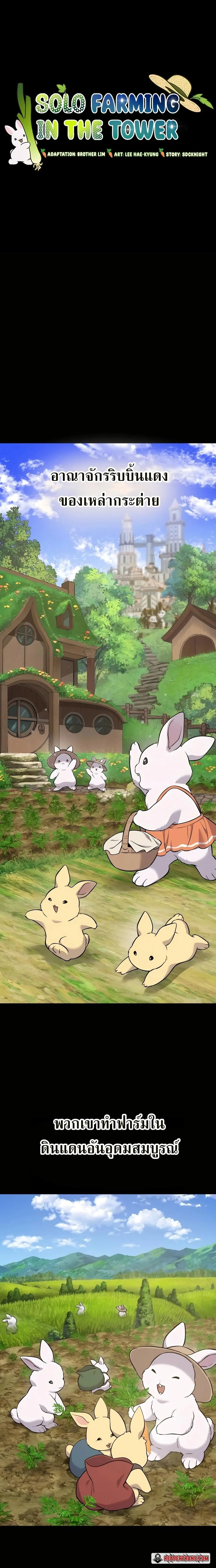Solo Farming In The Tower ตอนที่ 57 หน้า 10
